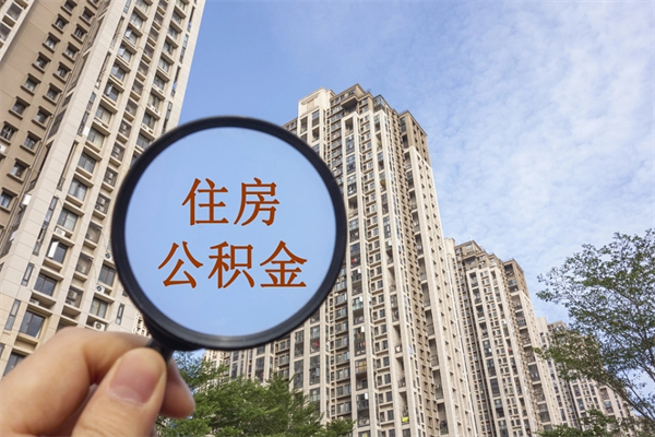 石狮离职可以取出公积金吗（离职可以取公积金嘛）